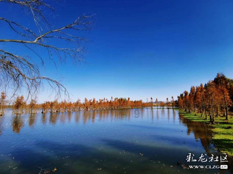【建信聚焦】工业硅:节前补库结束,弱势震荡为主