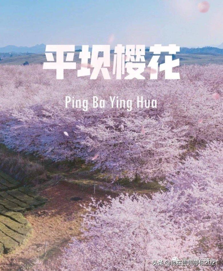任楼矿全员大培训 让人人都出彩