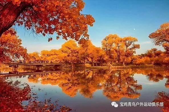 劲舞团