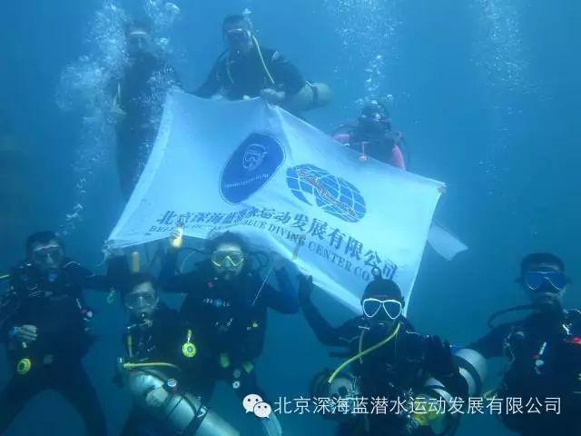 易方达“神基”成反向案例:基金赚饱,基民跌倒!